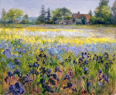 Irises and Two Fir Trees, 1993 by Timothy Easton